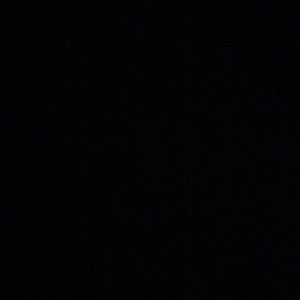 Meet your Posher, Dylan